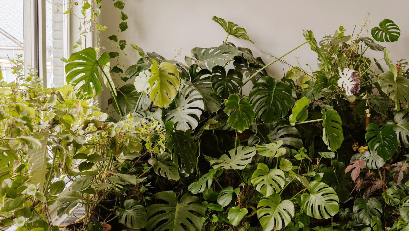 Plant People